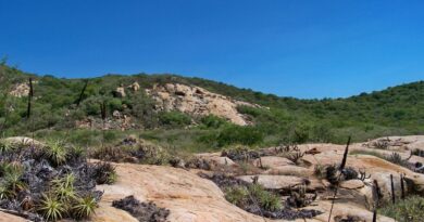 Geoparque Seridó é tema do Caminhos da Reportagem desta segunda