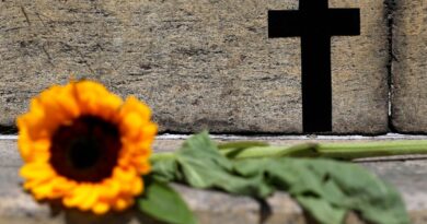 2025 já é o ano com maior número de feminicídios na capital paulista