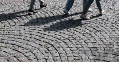 pavimentacao com paralelepipedo 2